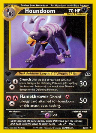 Houndoom 23/75 from Neo Discovery