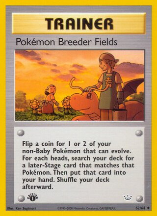 Pokémon Breeder Fields 62/66 from Neo Revelation