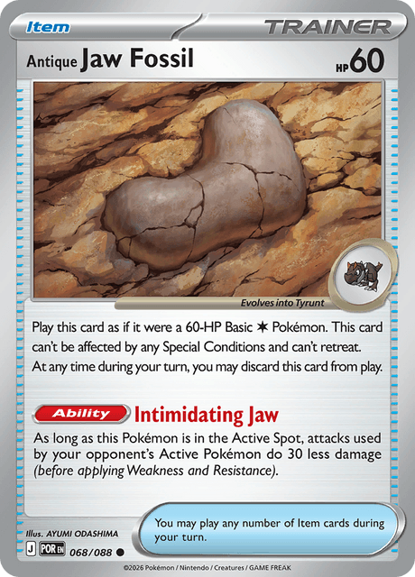 Antique Jaw Fossil 68/124 from Perfect Order