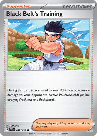 Black Belt's Training 97/180 from Prismatic Evolutions