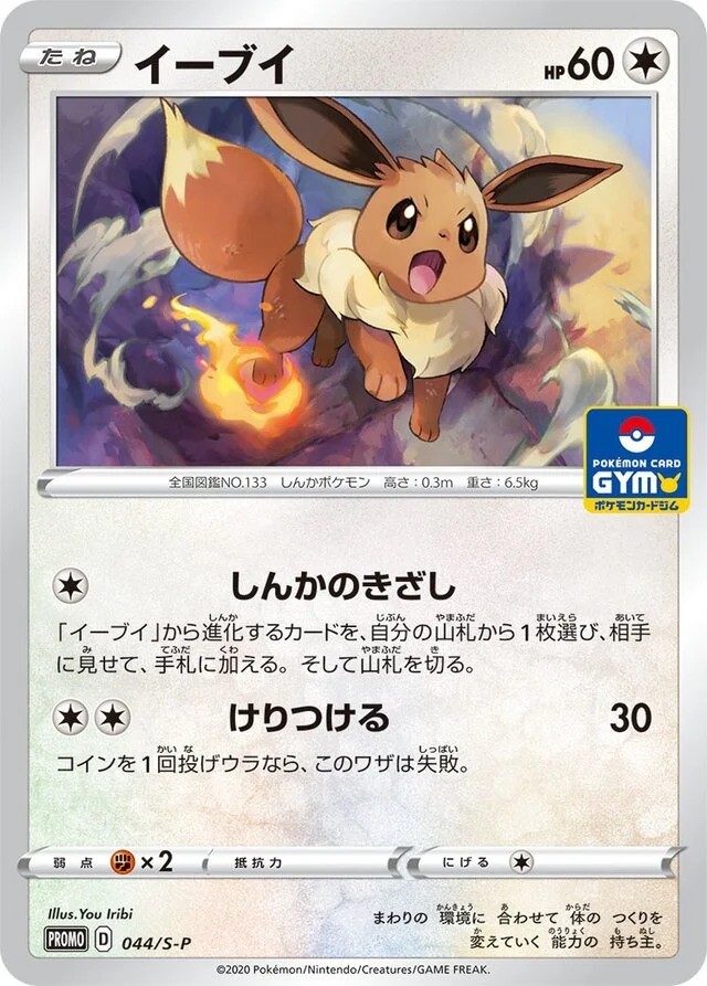 Eevee 44/360 from Sword & Shield Promos