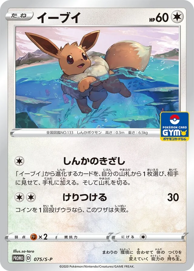 Eevee 75/360 from Sword & Shield Promos