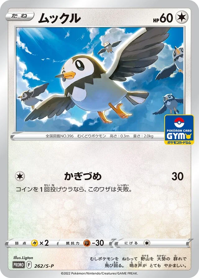 Starly 262/360 from Sword & Shield Promos