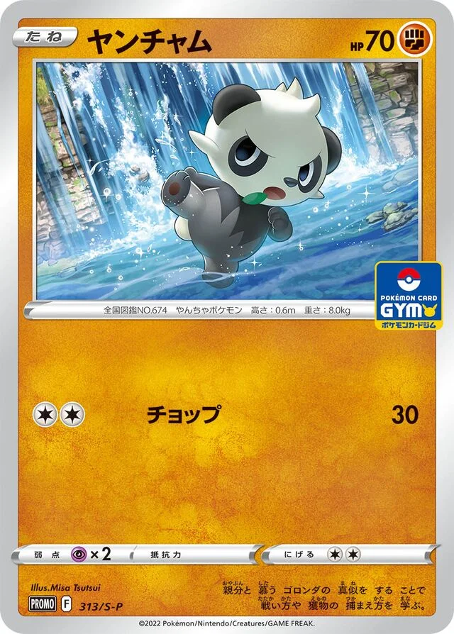 Pancham 313/360 from Sword & Shield Promos