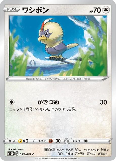 Rufflet 55/88 from Time Gazer