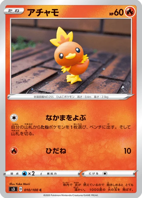 Torchic 10/119 from Infinity Zone