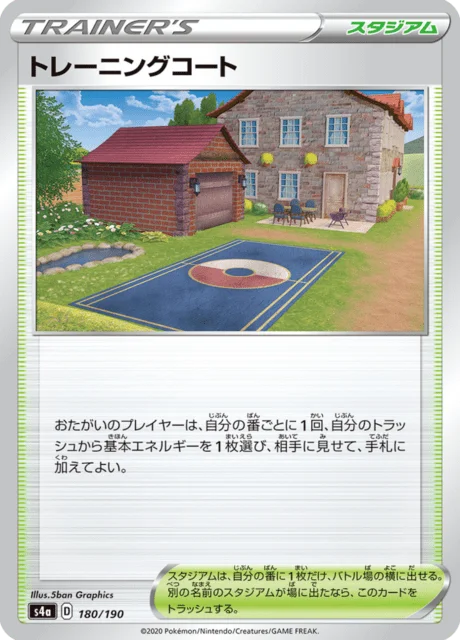 Training Court 180/330 from Shiny Star V