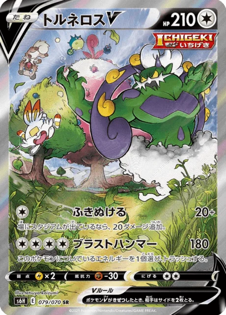 Tornadus V 79/95 from Silver Lance