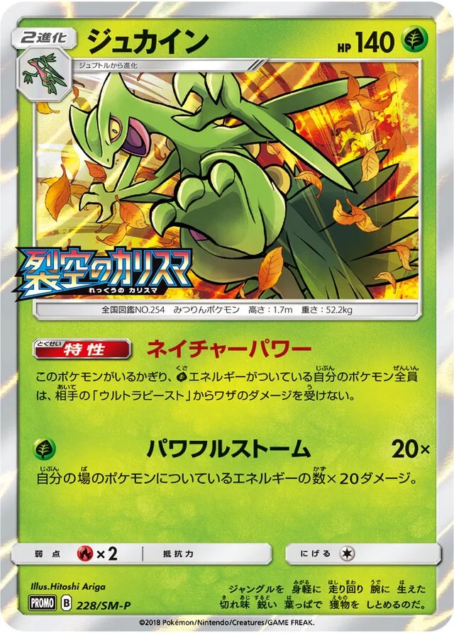 Sceptile 228/449 from Sun & Moon Promos