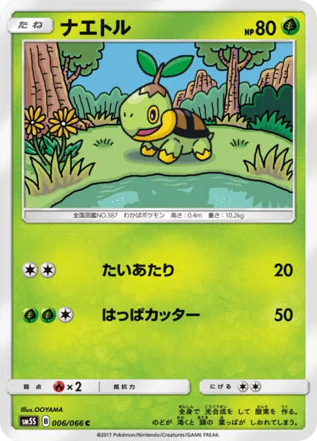 Turtwig 6/78 from Ultra Sun