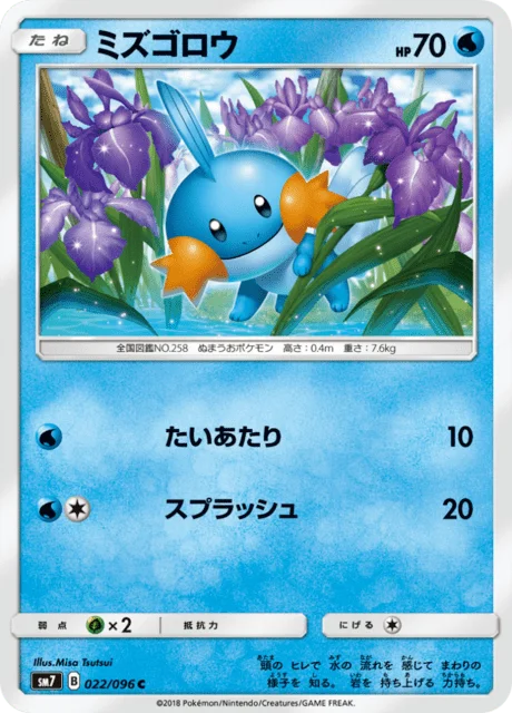 Mudkip 22/112 from Sky-Splitting Charisma