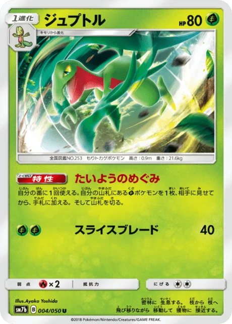 Grovyle 4/63 from Fairy Rise