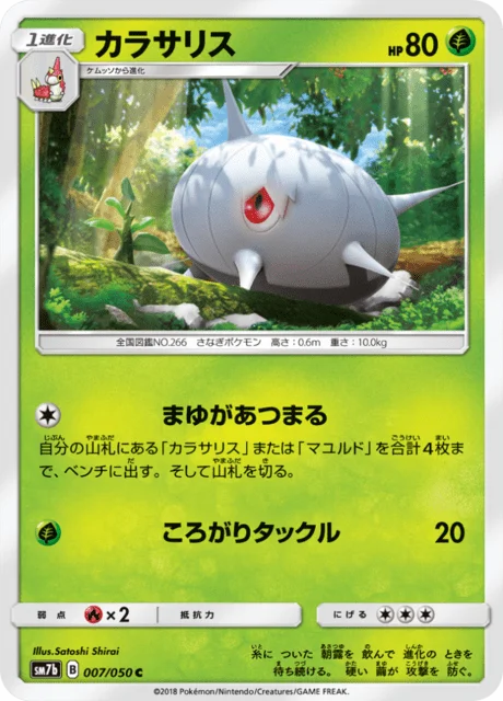 Silcoon 7/63 from Fairy Rise
