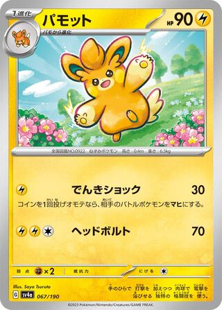 Pawmo 67/360 from Shiny Treasure ex