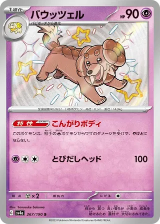 Dachsbun 267/360 from Shiny Treasure ex