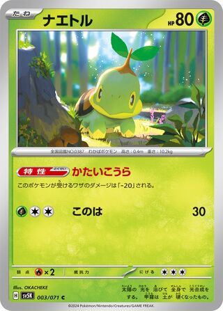 Turtwig 3/100 from Wild Force