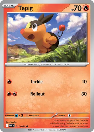 Tepig 11/173 from White Flare