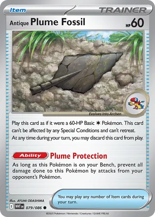 Antique Plume Fossil 79/173 from White Flare