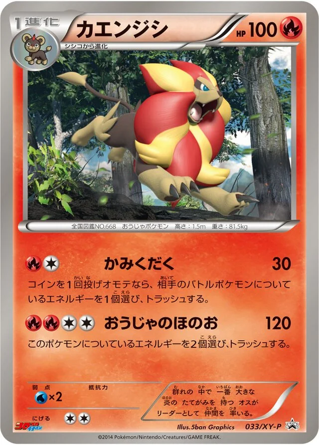 Pyroar 33/453 from XY Promos