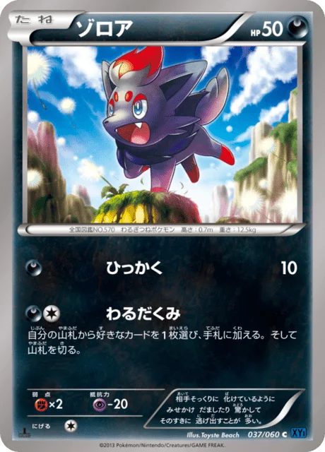 Zorua 37/63 from Collection X