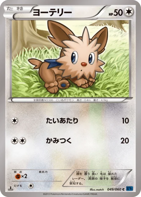 Lillipup 49/63 from Collection X