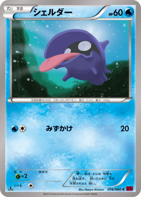 Shellder 16/63 from Collection Y