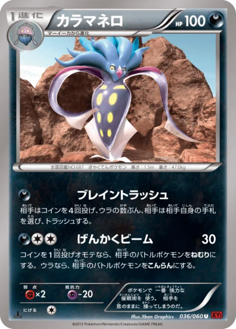 Malamar 36/63 from Collection Y