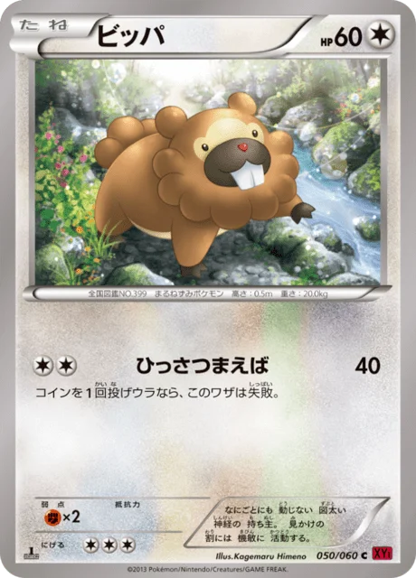 Bidoof 50/63 from Collection Y