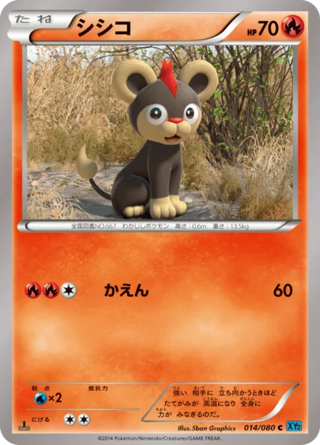 Litleo 14/90 from Wild Blaze