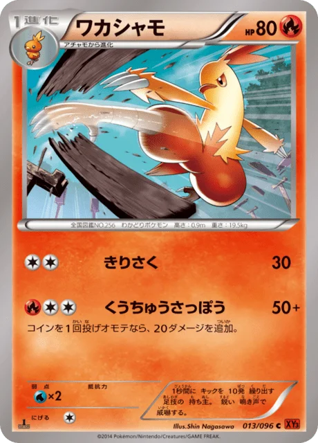 Combusken 13/105 from Rising Fist