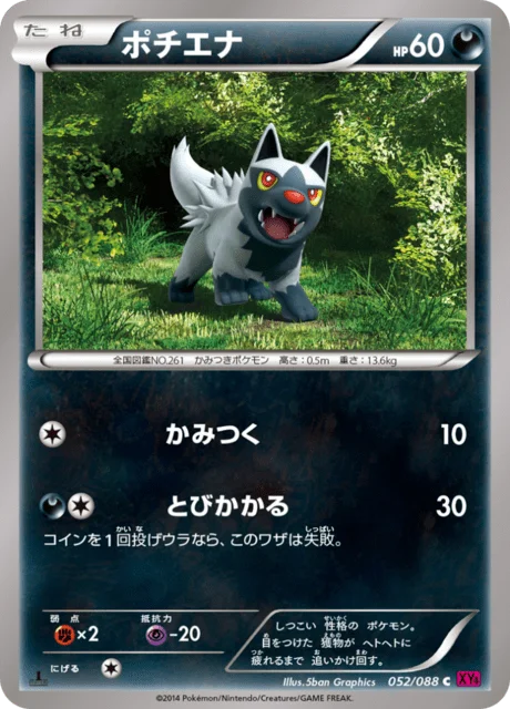 Poochyena 52/97 from Phantom Gate