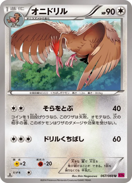 Fearow 67/97 from Phantom Gate