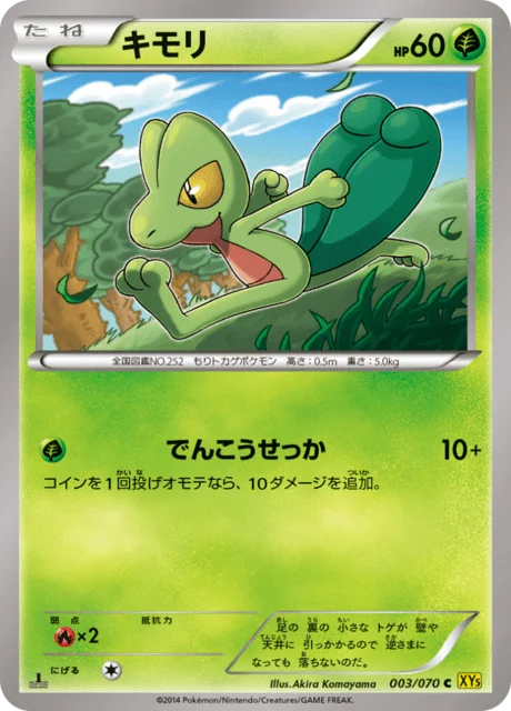 Treecko 3/80 from Gaia Volcano