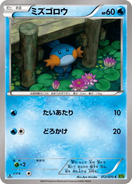 Mudkip 12/80 from Tidal Storm