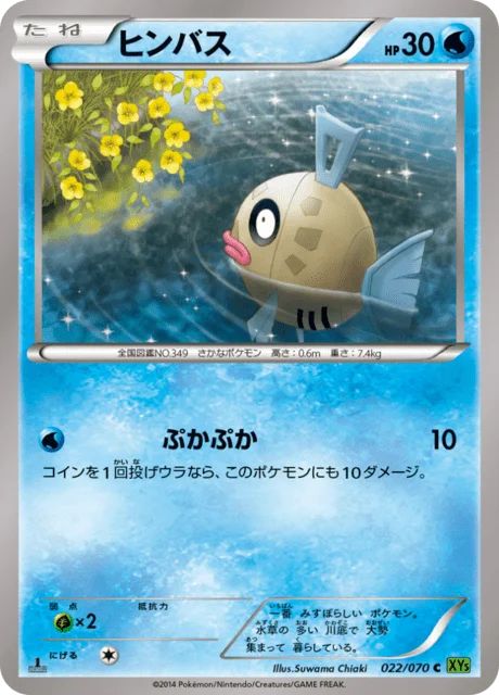 Feebas 22/80 from Tidal Storm