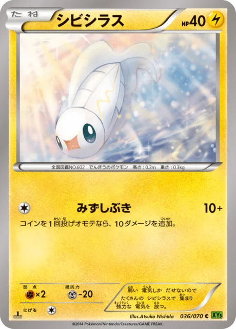 Tynamo 36/80 from Tidal Storm