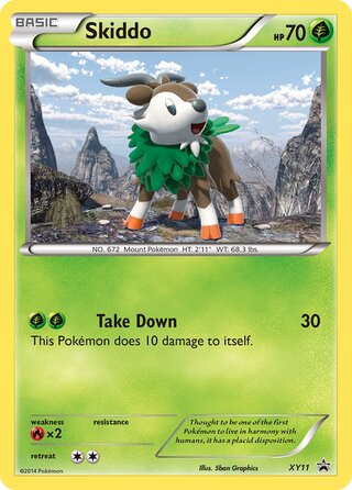 Skiddo 11/211 from XY Promos