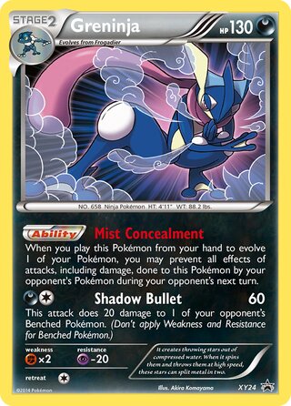 Greninja 24/211 from XY Promos