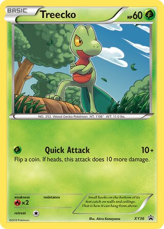 Treecko 36/211 from XY Promos