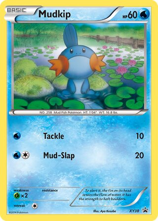 Mudkip 38/211 from XY Promos