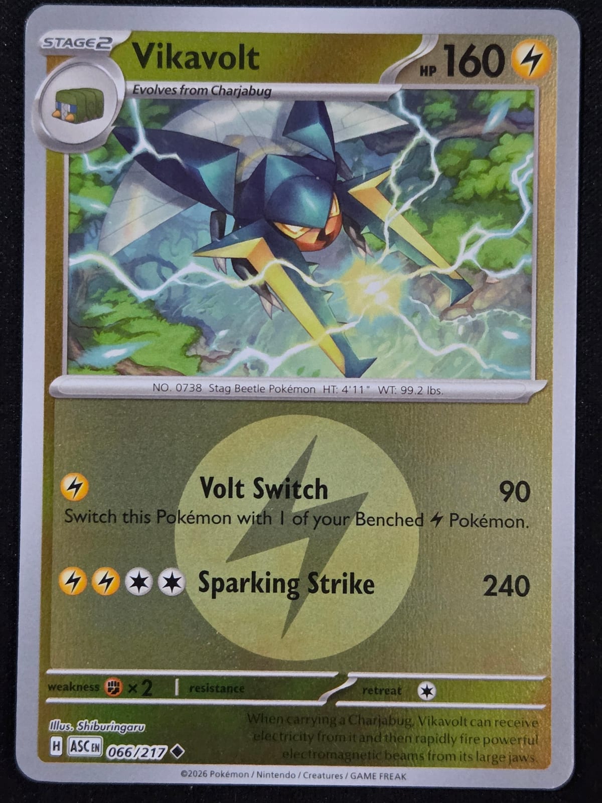 Vikavolt (Energy Symbol pattern)