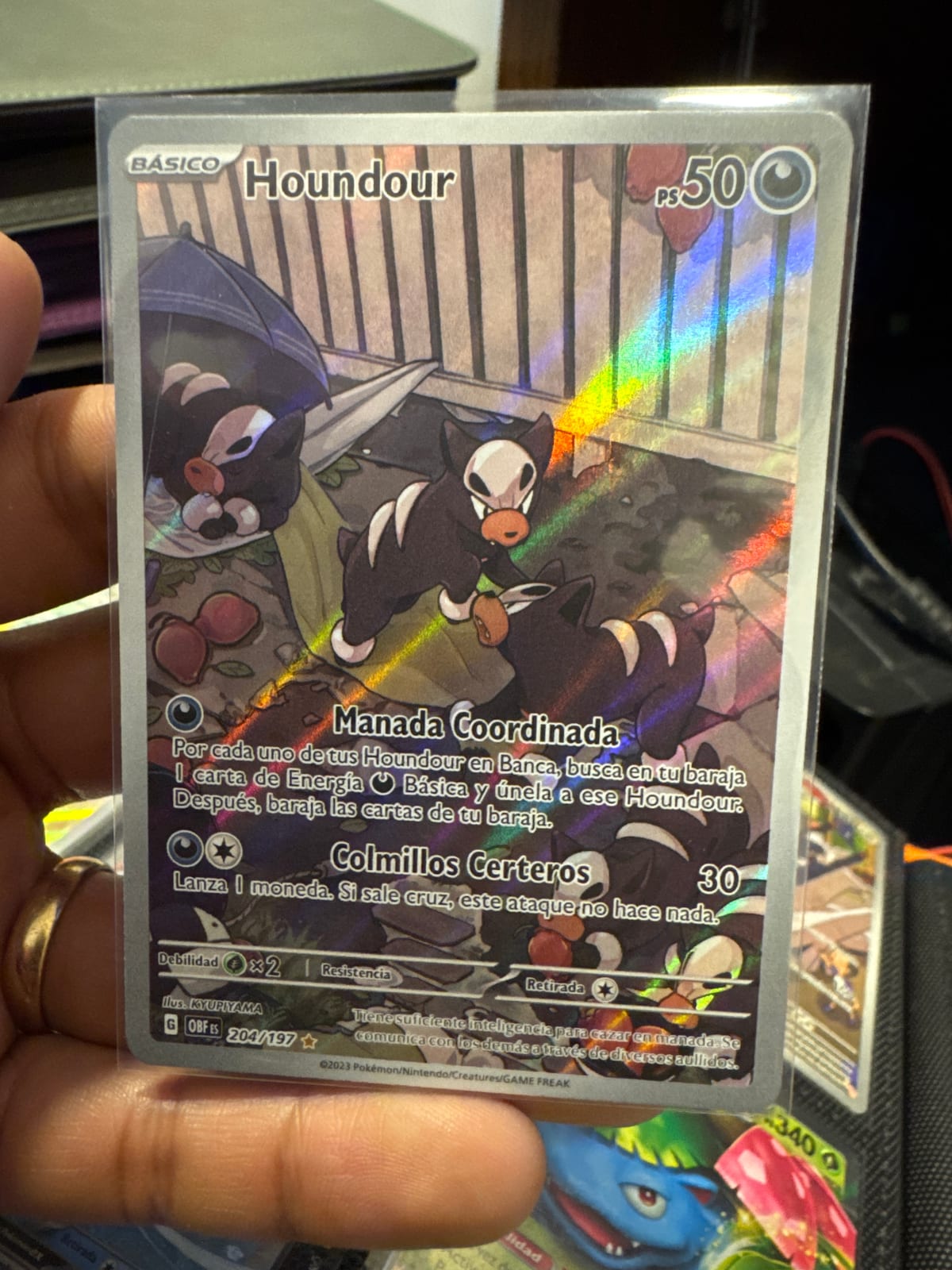 204 197 pokemon card Pokémon - Houndour 204/197 - Obsidian Flames - Illustration Rare - Holo Foil Full Art Preserved in a tamper Houndour 2023 Pokemon Obsidian Flames