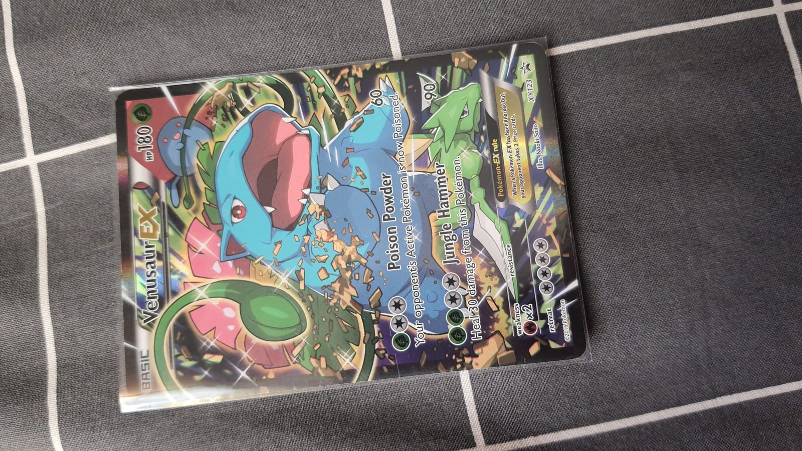 Venusaur Ex xy123 HOLO