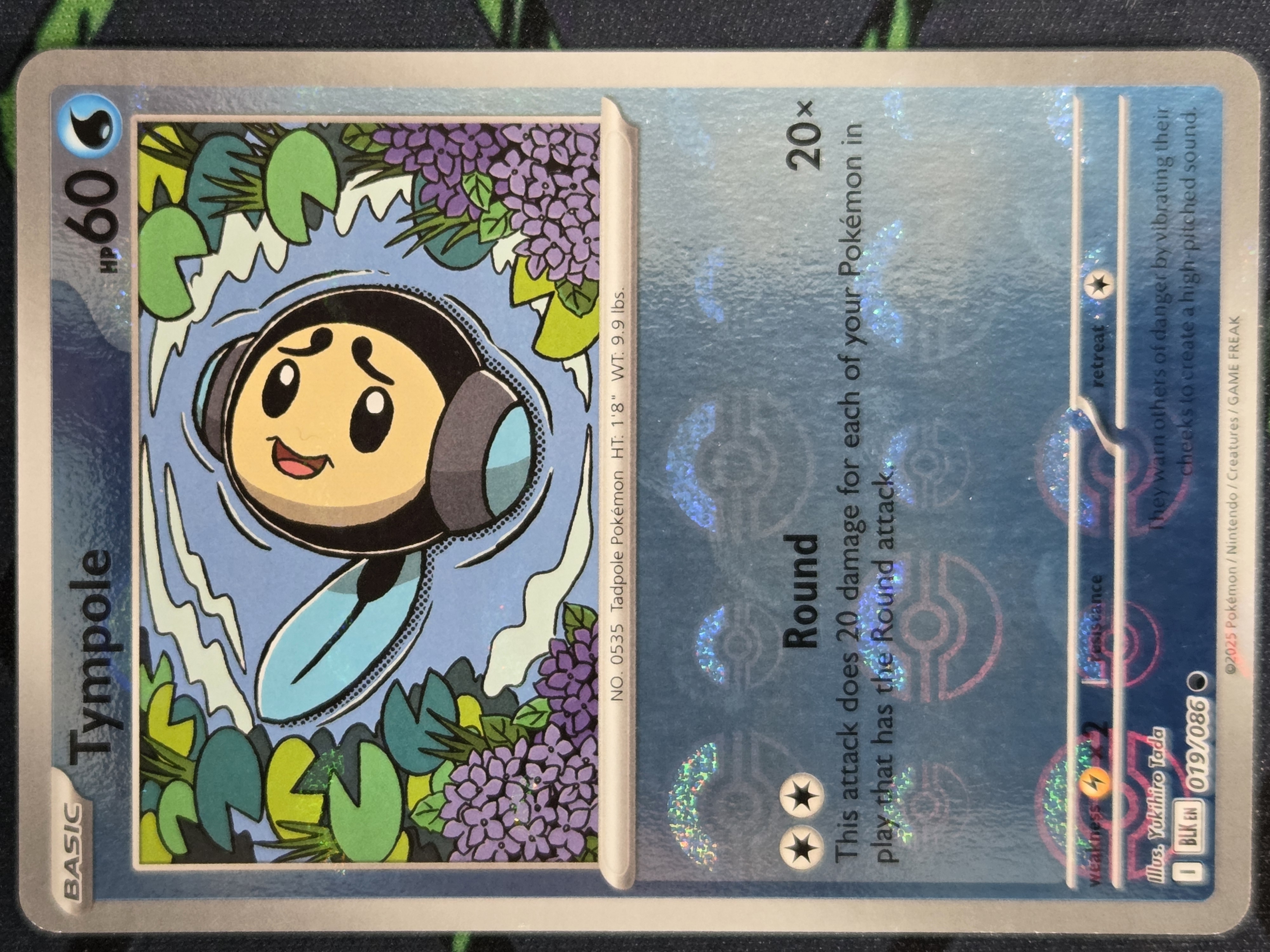 Tympole (Pokéball pattern) - TcgMatch Chile
