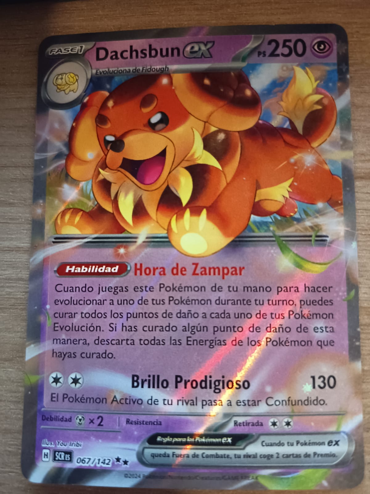 067 142 pokemon card Dachsbun ex - 067/142 Pokémon TCG, SCR - Dachsbun