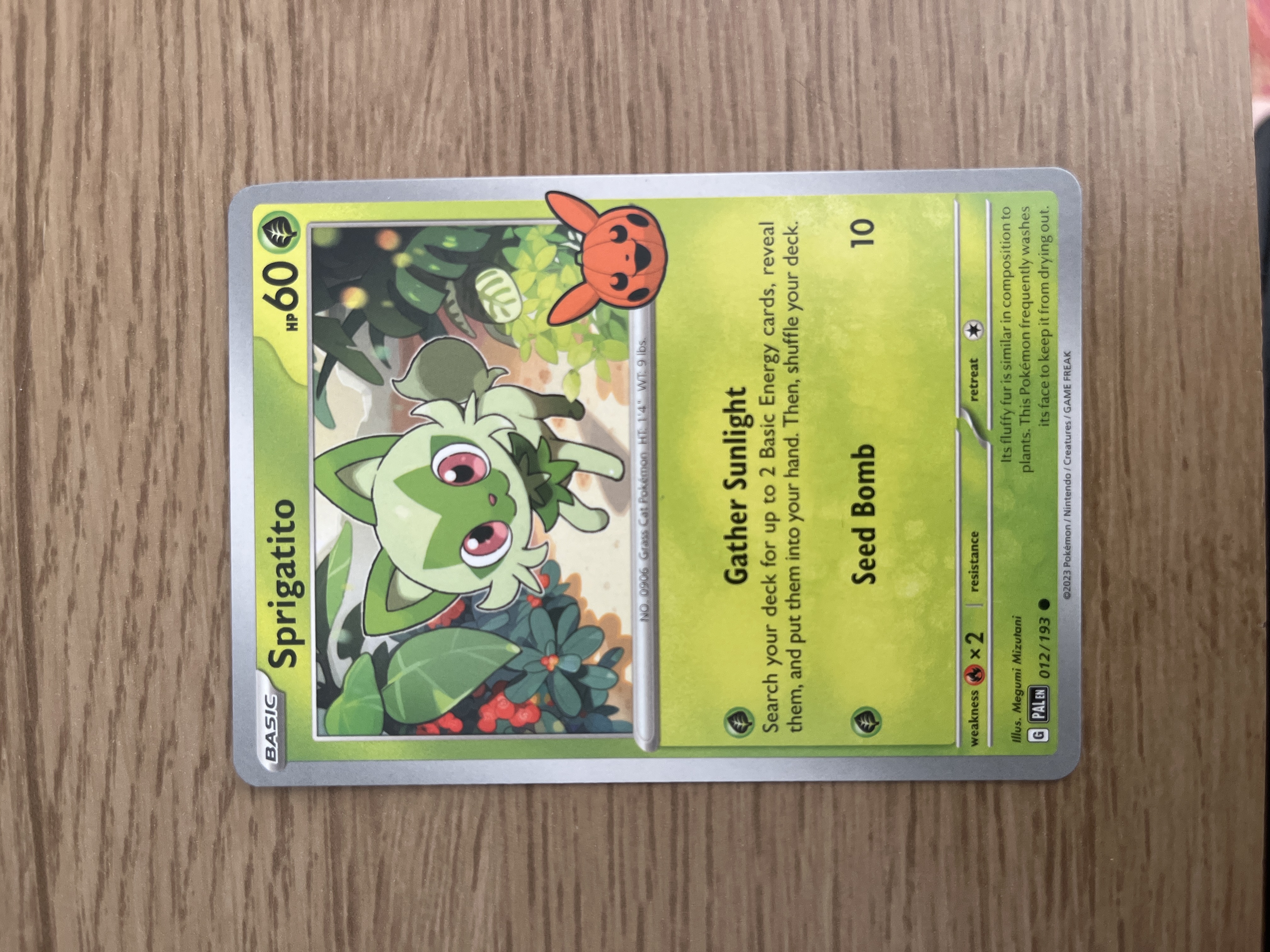 Sprigatito Trick or Trade 2024 (012/193)