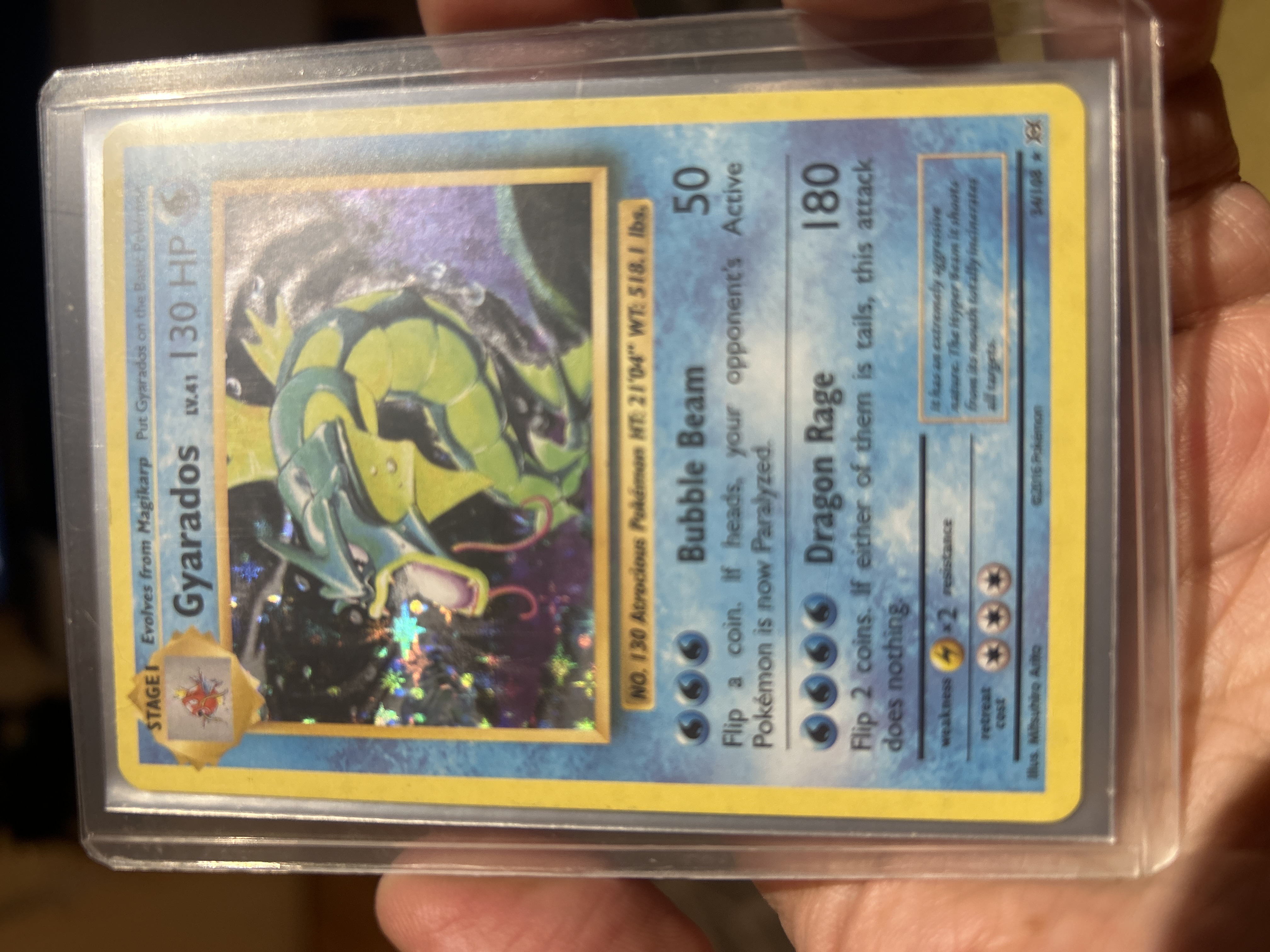 Gyarados 34/108 holo 