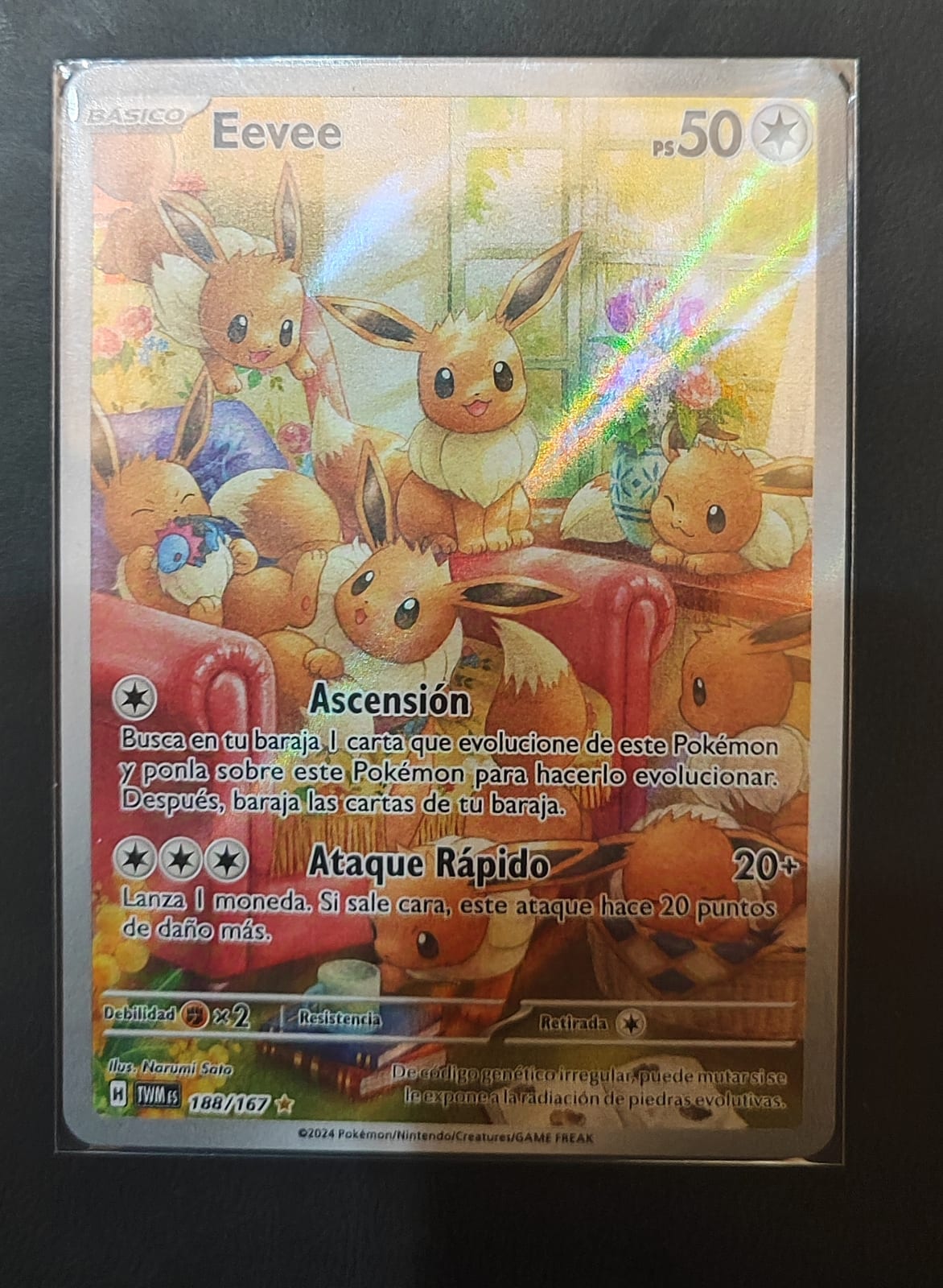 Eevee - TCGmatch Chile