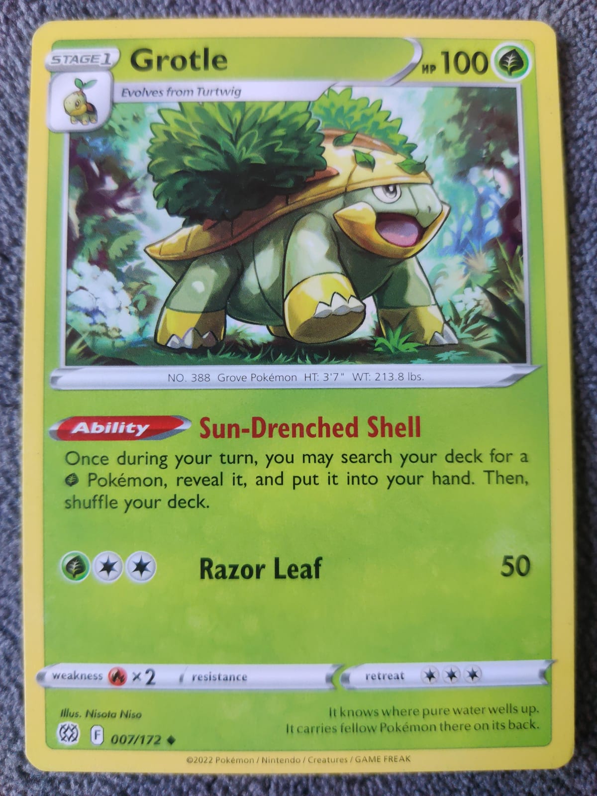 Grotle - TCGmatch Chile