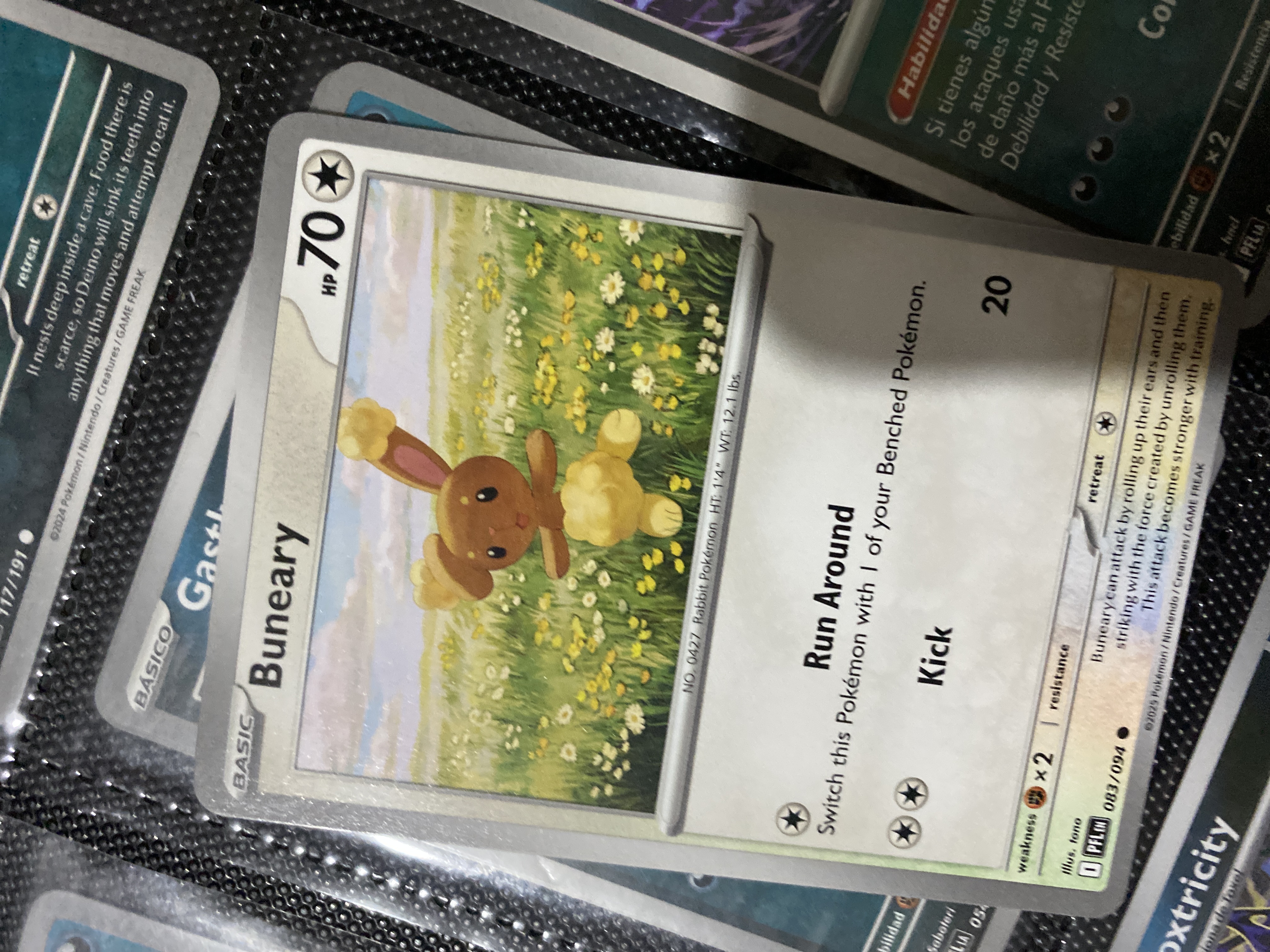 Buneary - TCGMatch Chile